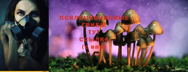 стафф Краснослободск
