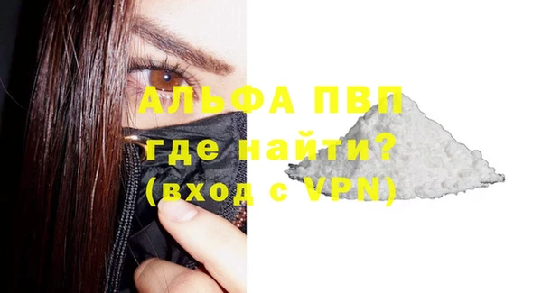ГАЛЛЮЦИНОГЕННЫЕ ГРИБЫ Белокуриха