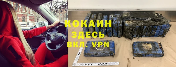 ГАЛЛЮЦИНОГЕННЫЕ ГРИБЫ Белокуриха
