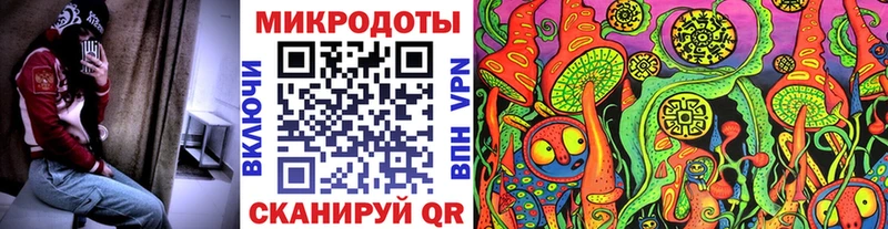 Псилоцибиновые грибы прущие грибы  закладки  Вольск 